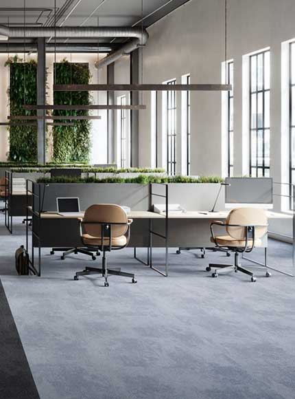 درباره رویا طرح