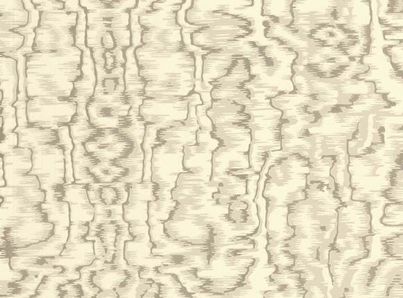 آلبوم کاغذ دیواری Rose More 160210501