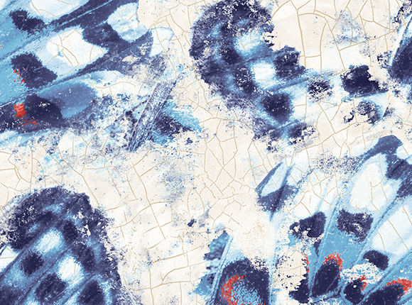 کاغذ دیواری Aerial fj020205