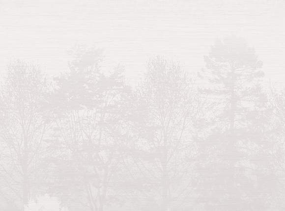 کاغذ دیواری Aerial fj100200