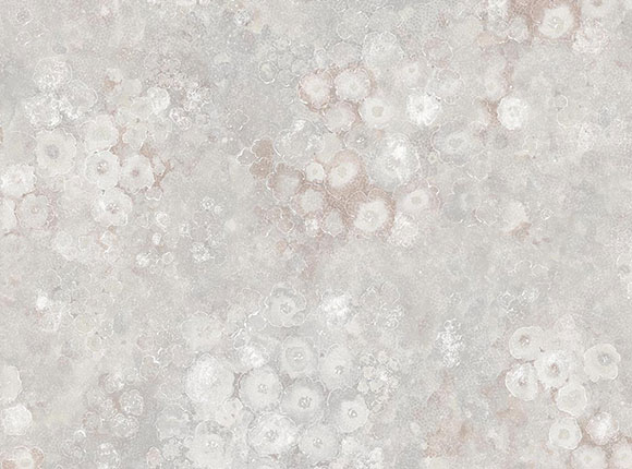 کاغذ دیواری Exotic 90102