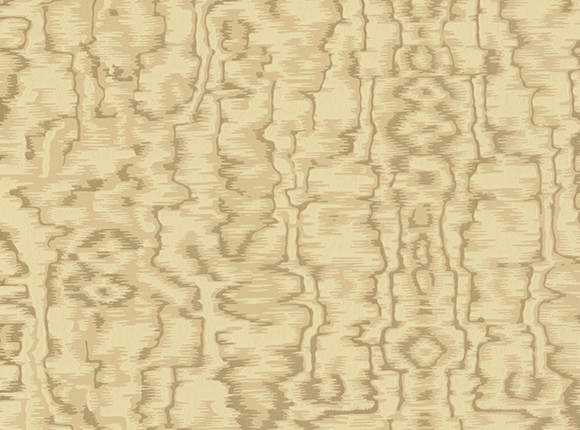 آلبوم کاغذ دیواری Rose More 160210503