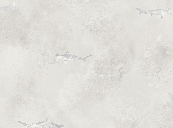 کاغذ دیواری Aerial fj100214