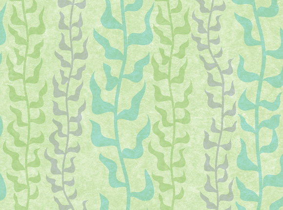 آلبوم کاغذ دیواری Star Wars DY0131