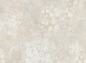 کاغذ دیواری Exotic 90105