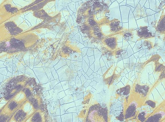 کاغذ دیواری Aerial fj090205