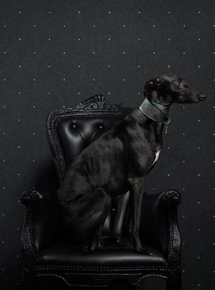 کاغذ دیواری مشکی از آلبوم Neo Royal