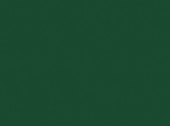 موکت تولید ملی PLAIN-COLOR-Green