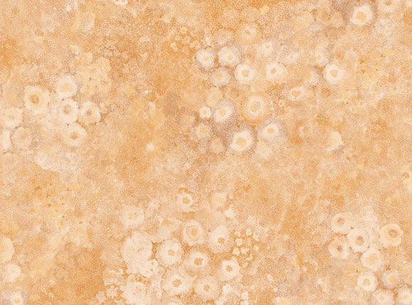 کاغذ دیواری Exotic 90104