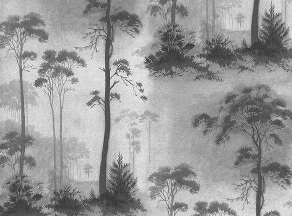 آلبوم کاغذ دیواری Rose More 160110203