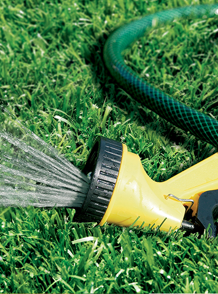 چمن مصنوعی Cambridge