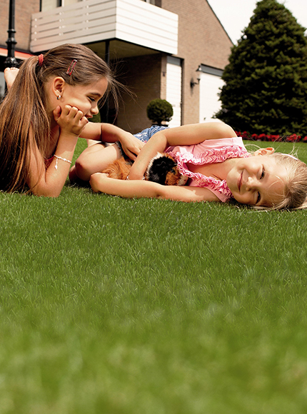 چمن مصنوعی Stonefield