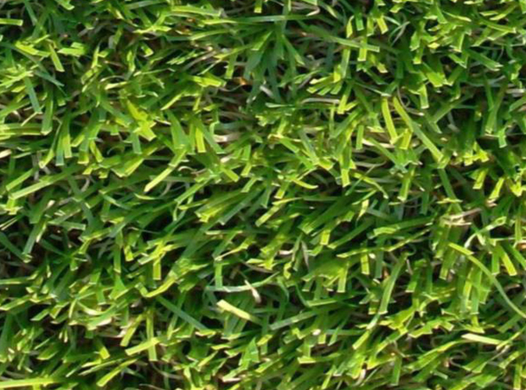 چمن مصنوعی Cambridge Cambridge30