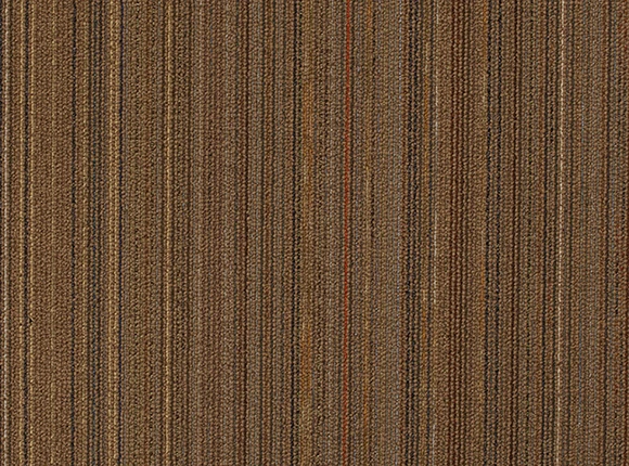 5506-1.jpg