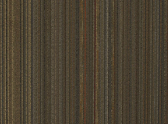 5507-1.jpg