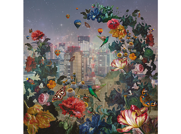 پوستر کاغذ دیواری Dutch Master 30725