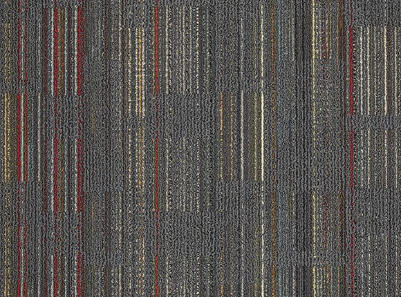 5515-1.jpg