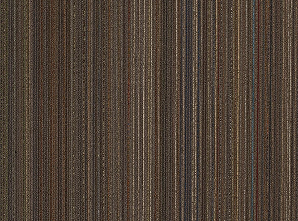5508-1.jpg