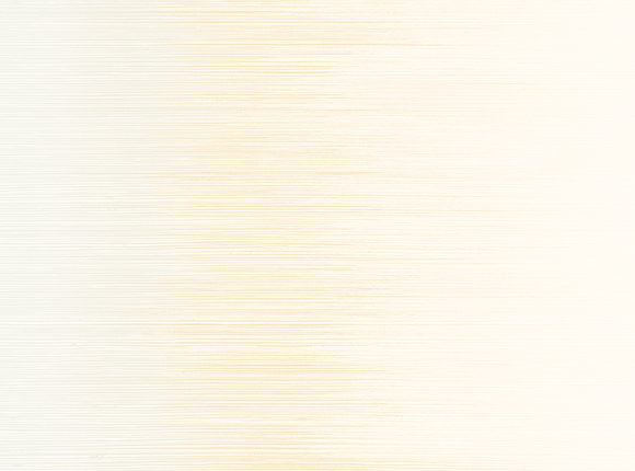 NE51104-1-1.jpg