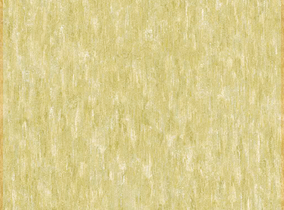 NV6119-1-1.jpg