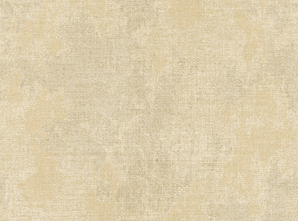 Y6191104-1.jpg