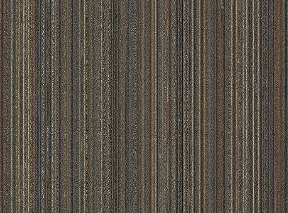 5505-1.jpg