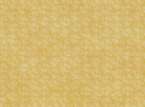 73550450-1-1.jpg