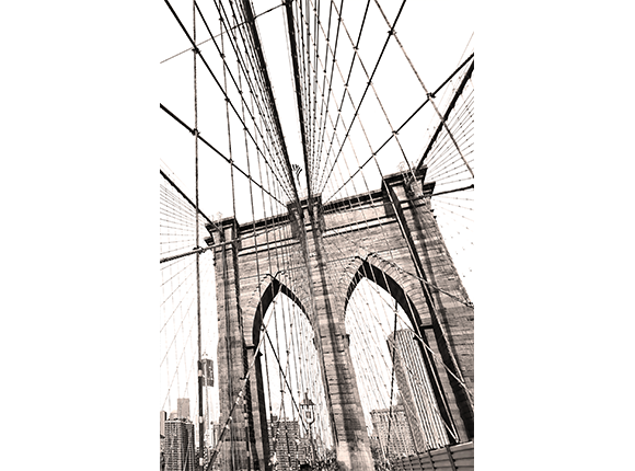 CT42206M-1-1.png