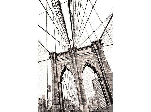 CT42206M-1-1.png