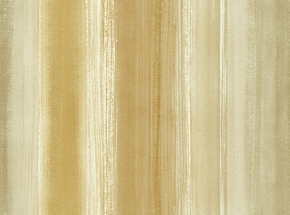 CT41005-1-1.jpg