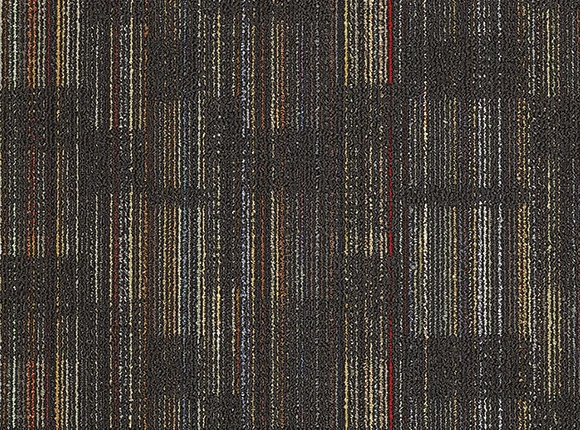 5516-1.jpg