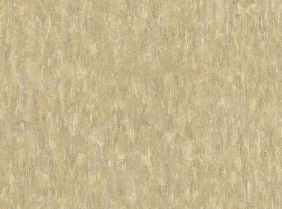 NV6117-1-1.jpg