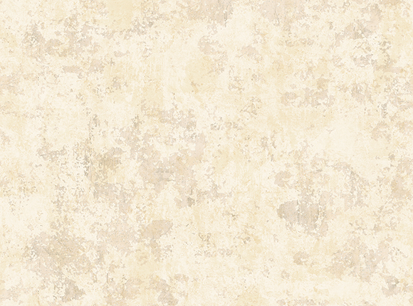 NE50404-1-1.jpg