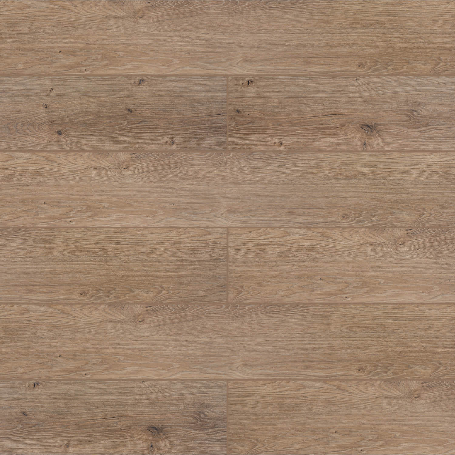 لمینت MAJESTIC 6008