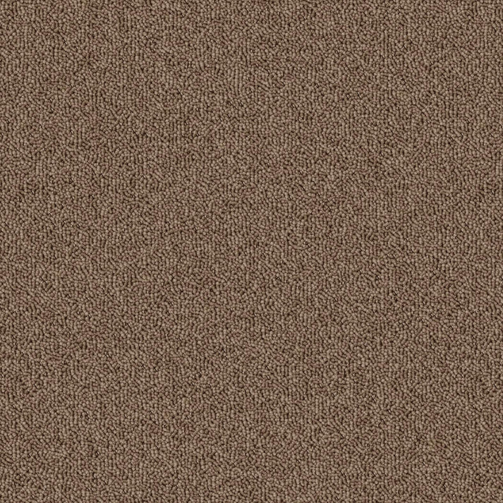 موکت essential 2-1043