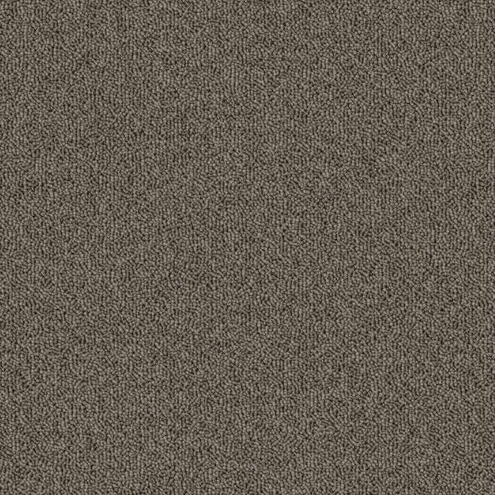 موکت essential 2- 1042