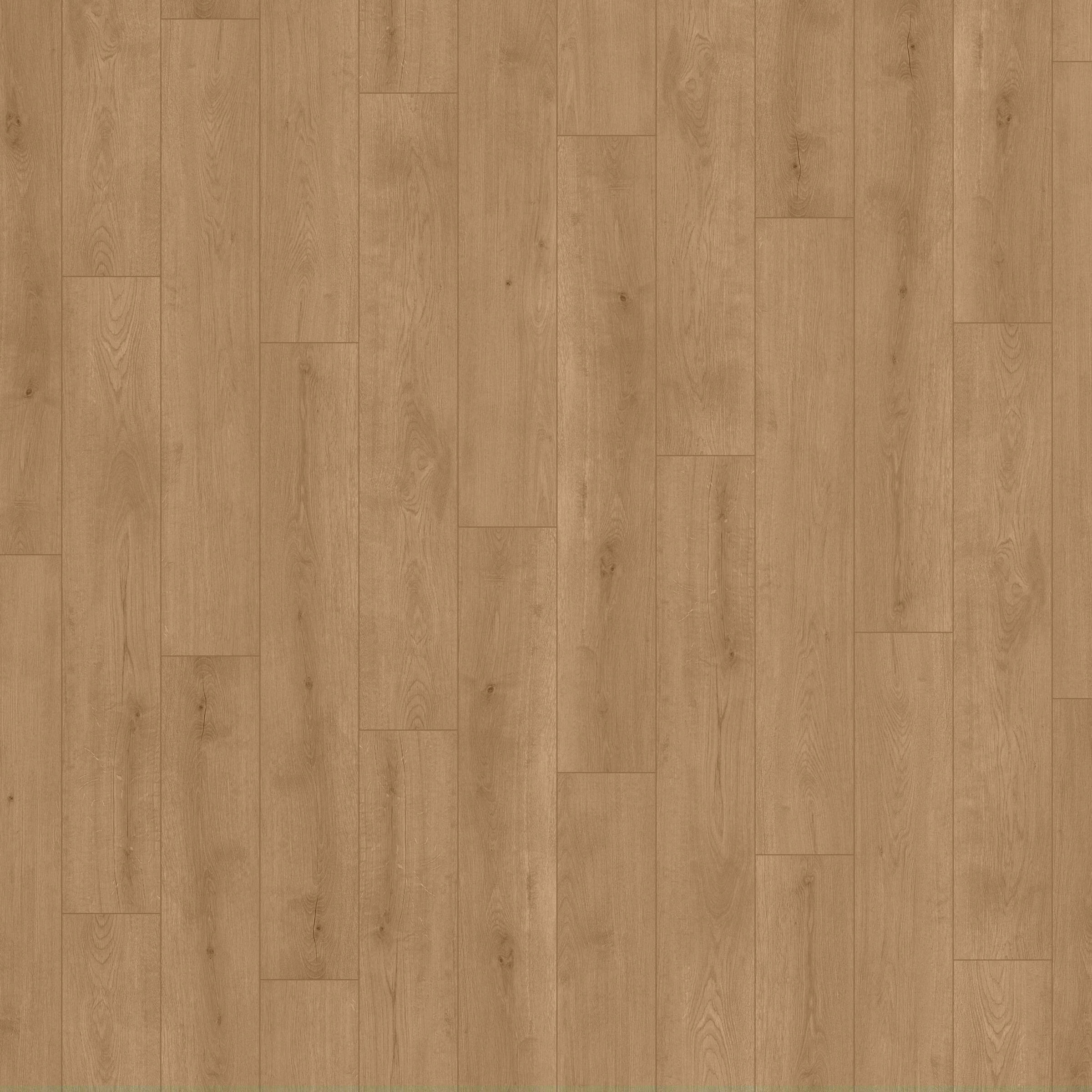 ATUMN OAK 7037.jpg