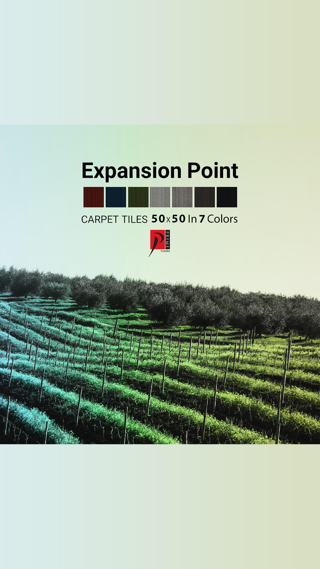 expansion point post کاور.jpg