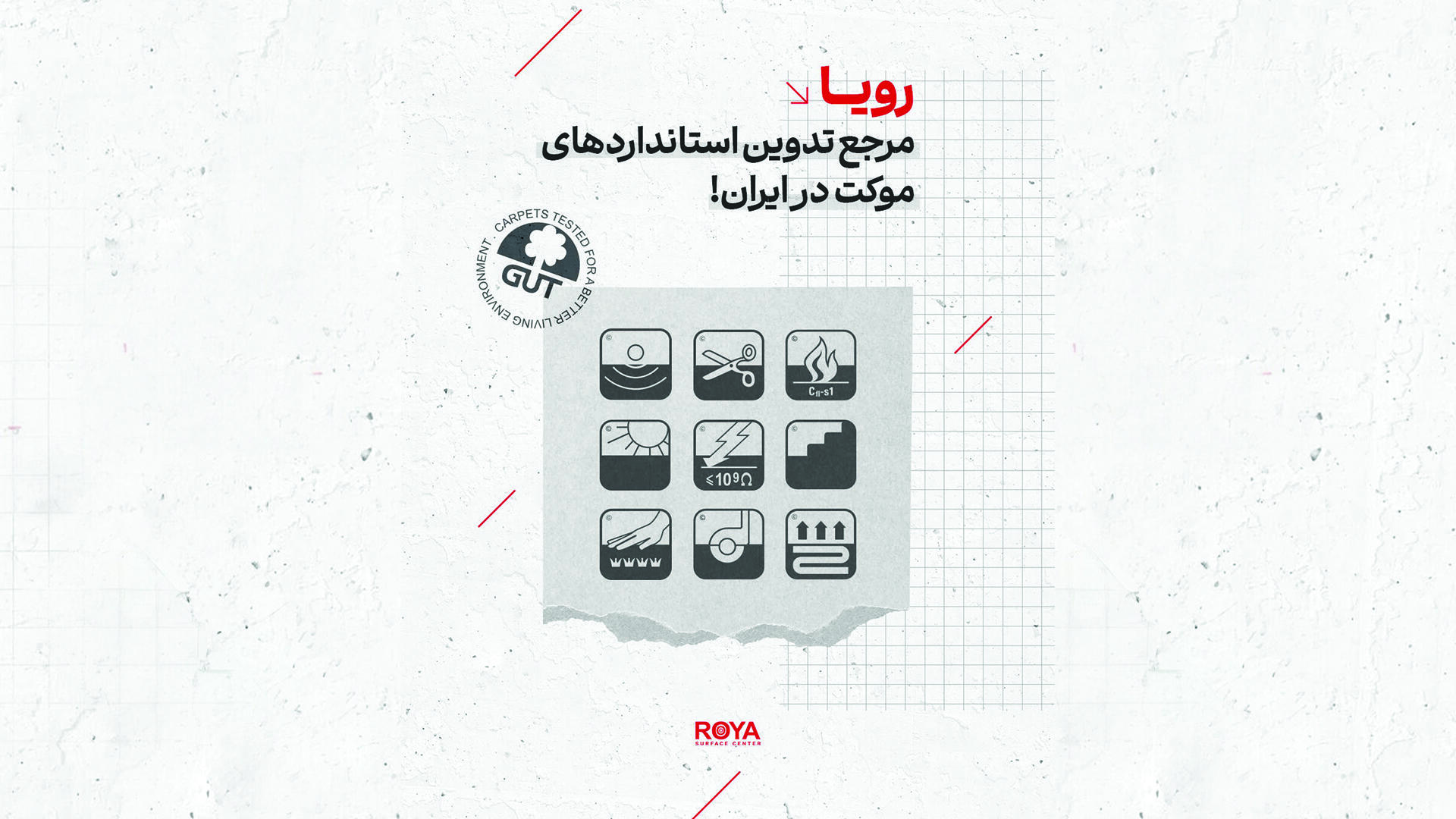 استانداردهای محصولات رویا