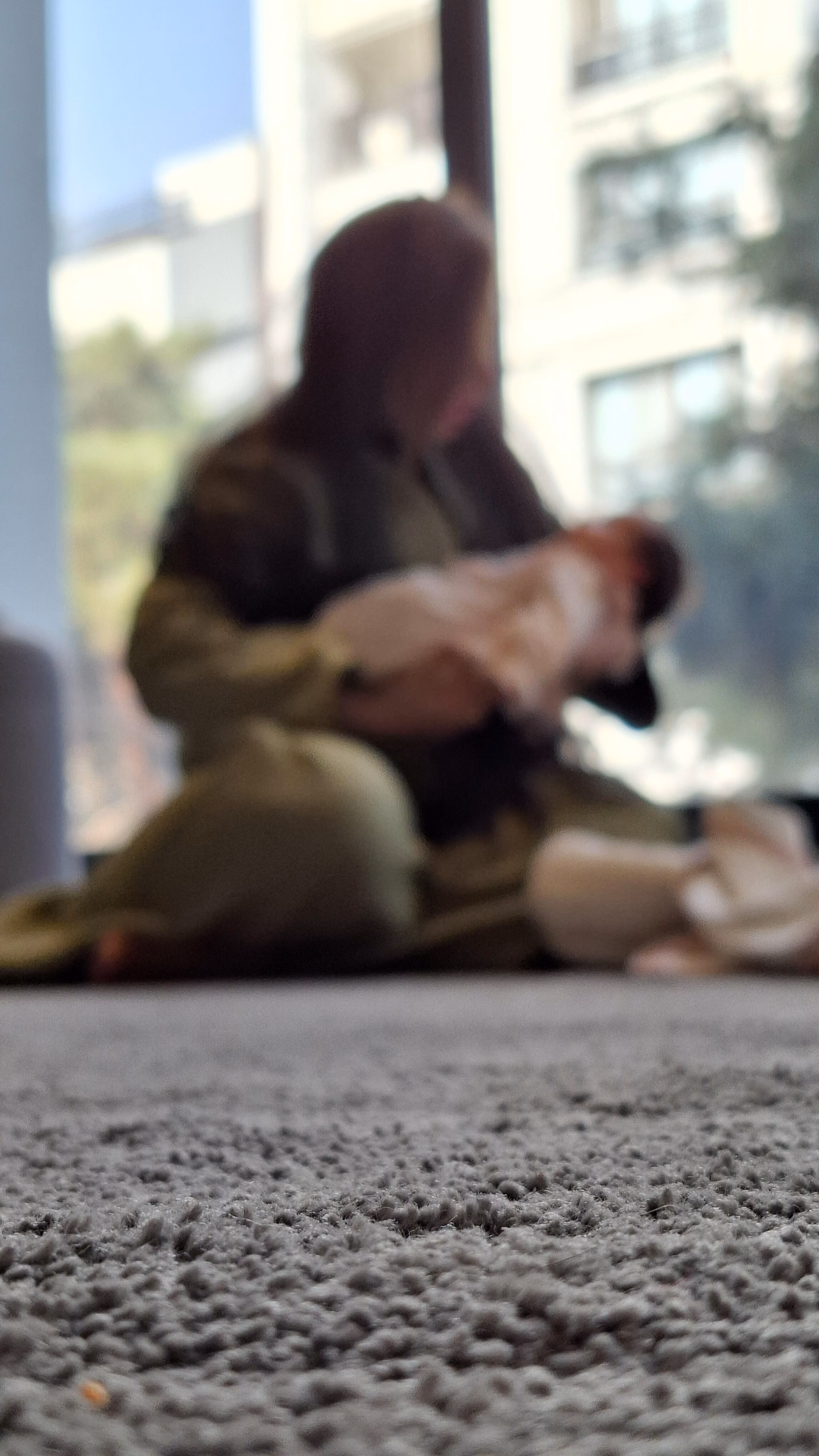 موکت پرز بلند مسکونی.jpg