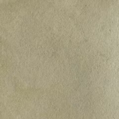 کاغذ دیواری طرح سفارشی بژ روشن Chromatic Shell-css2025