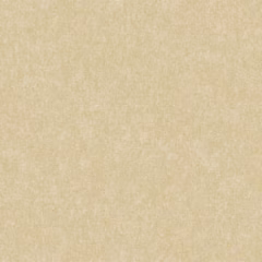 کاغذدیواری ساده بافت دارExtend 170204