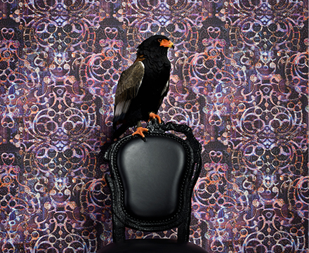 کاغذدیواری Neo Royal