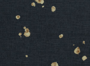 کاغذ دیواری سیاه از آلبوم Neo Royal