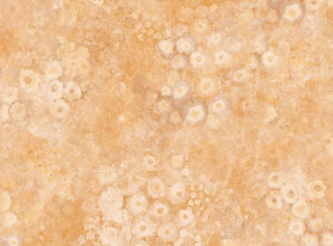 کاغذ دیواری Exotic 90104