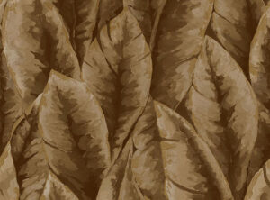 کاغذ دیواری Exotic 91304