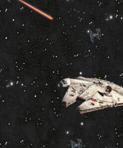 آلبوم کاغذ دیواری Star Wars DY0298