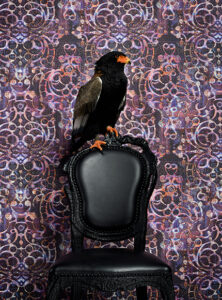 کاغذدیواری Neo Royal