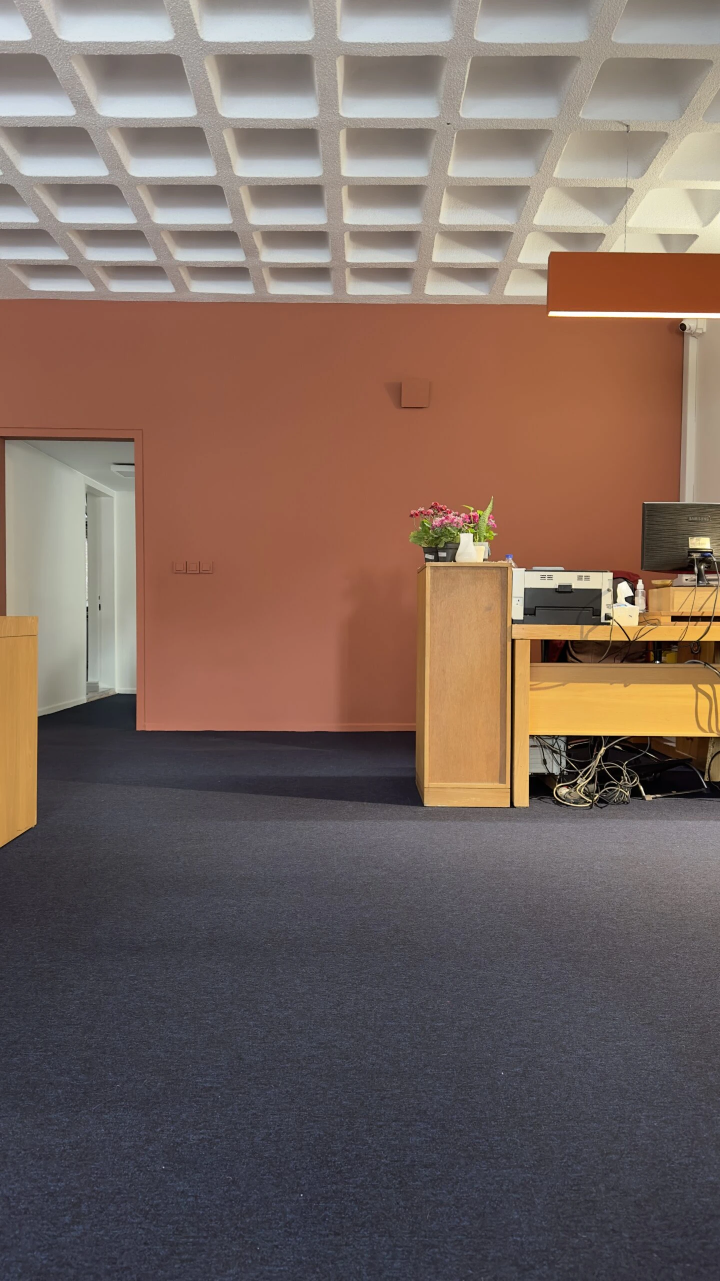 دکوراسیون داخلی برای نوروز: انتخاب‌های هوشمندانه با محصولات رویا در سال 1404